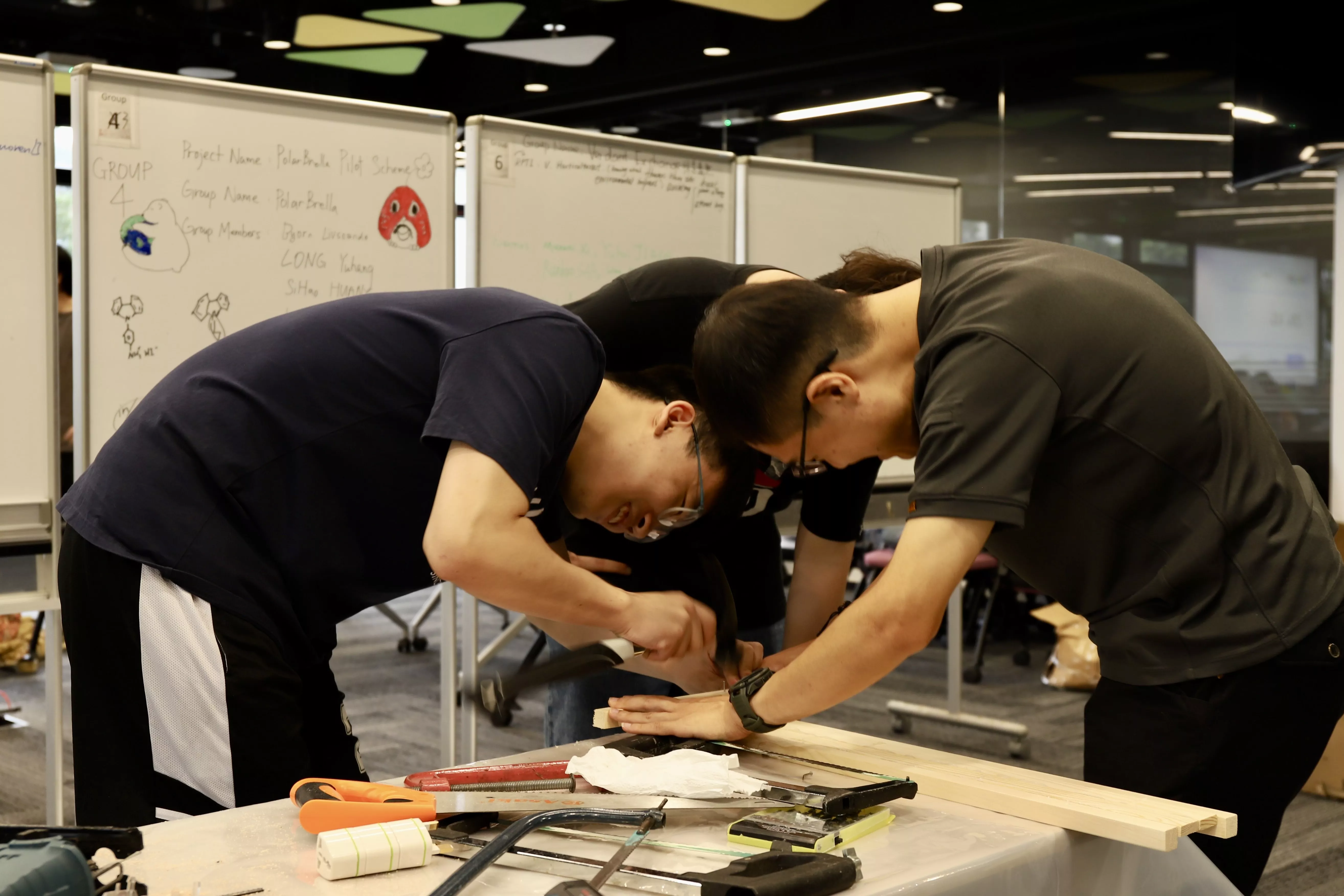 Sustainable Design Thinking Certificate Program 2025 > Content Section Type