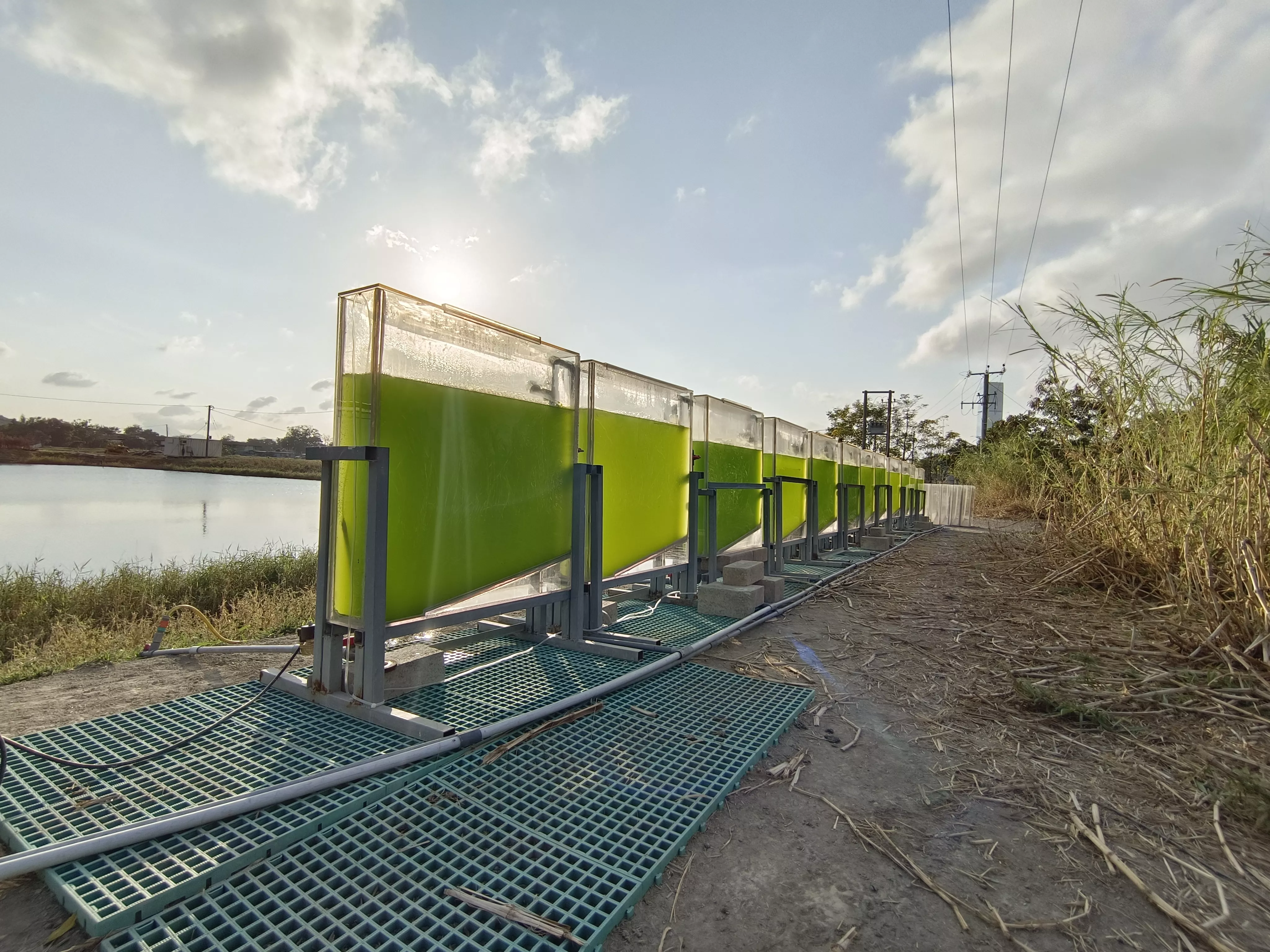 Developing a Fully Automatic Photobioreactor System for Algae-based Carbon Capture solution