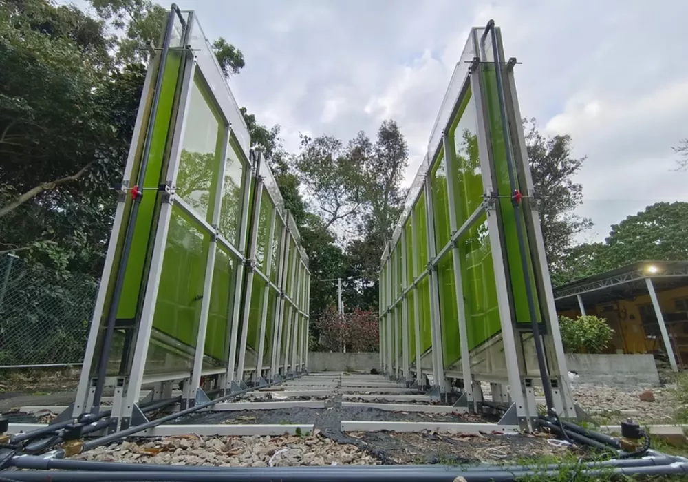 Developing a Fully Automatic Photobioreactor System for Algae-based Carbon Capture solution