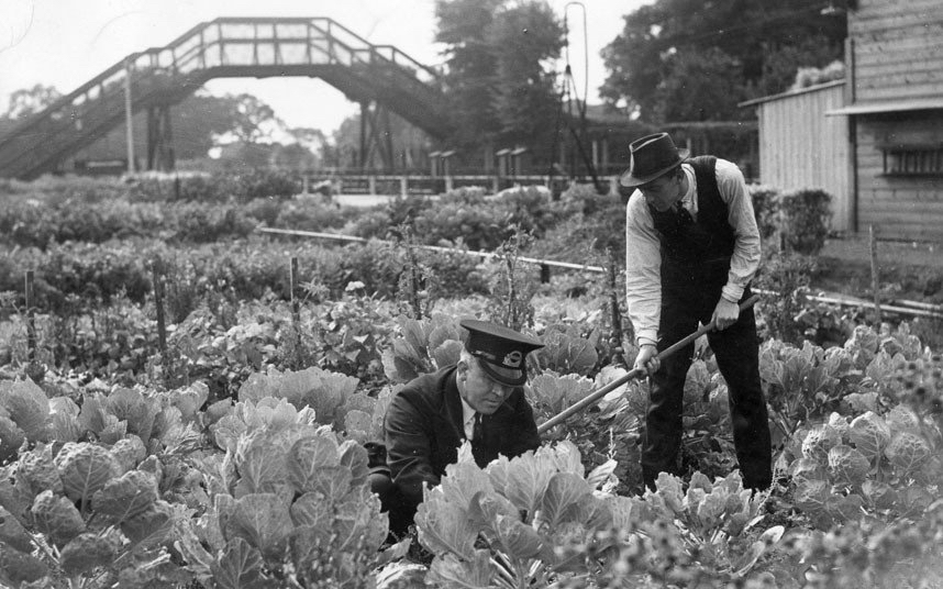The Rise of Urban Farming during WW2