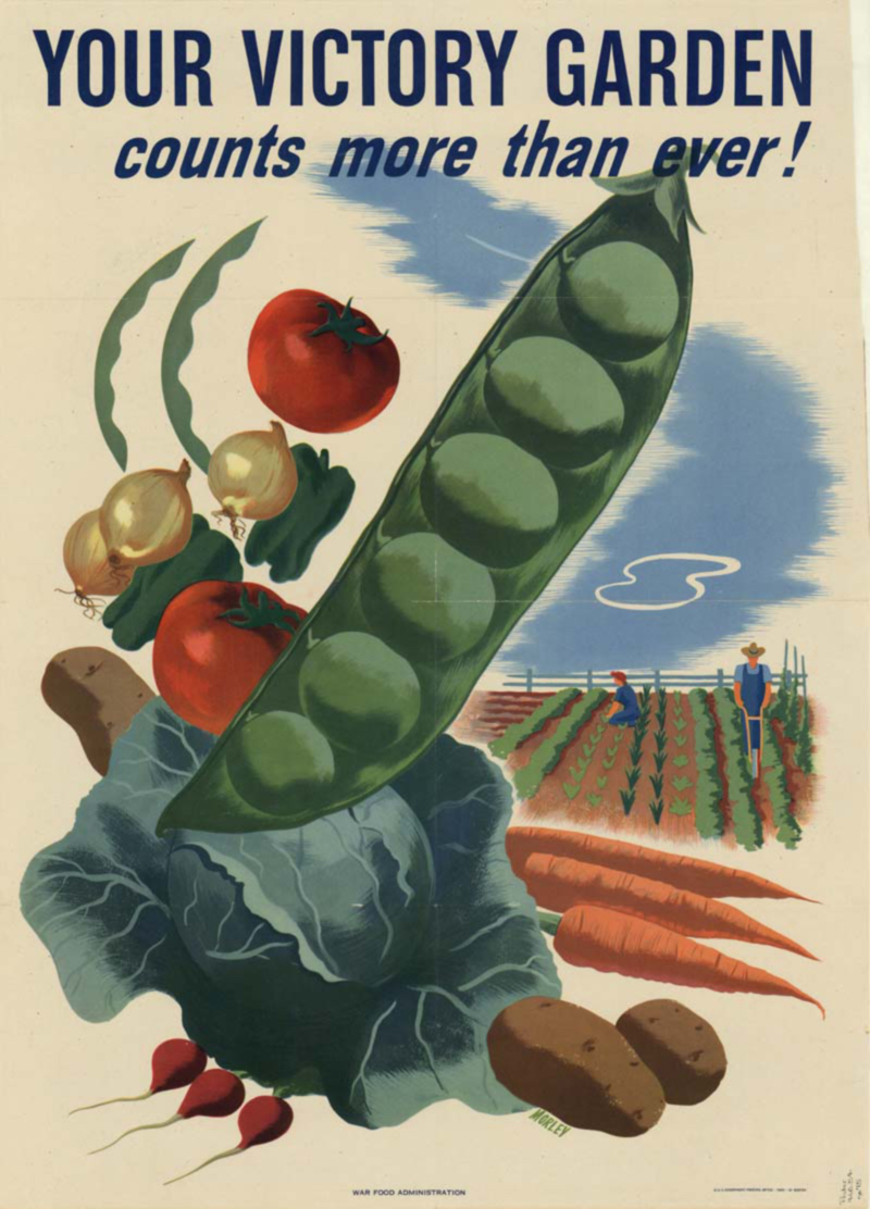 The Rise of Urban Farming during WW2 > Content Section Type