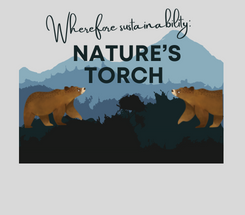 Wherefore sustainability: Nature’s torch