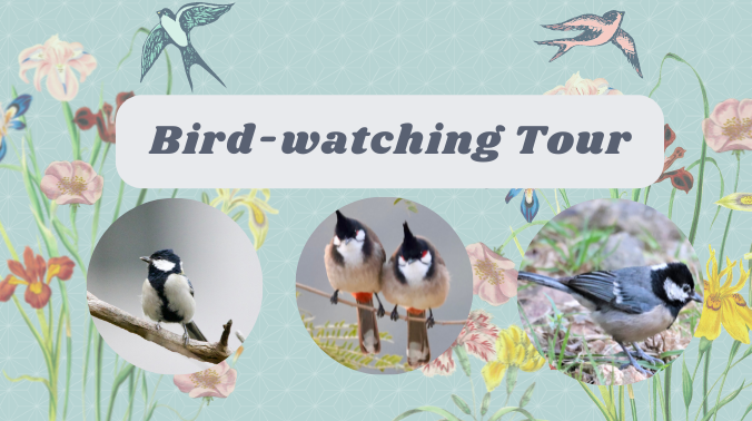 Bird-watching Tour